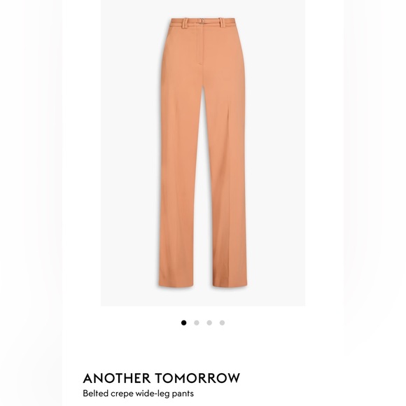 NWT Another Tomorrow Belted Crepe Wide-Leg Pants in Peach ASO Meghan Markle - Picture 3 of 4